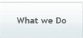 What we do